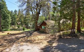 Big Oak Retreat